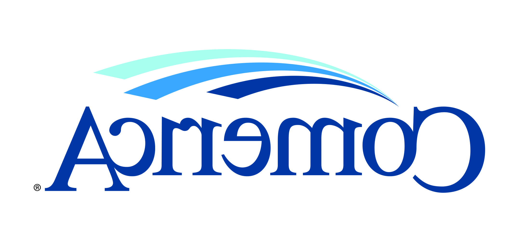 Comerica Bank logo: the word Comerica in flowing blue letters with a green highlight